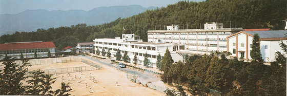 高等学校全景