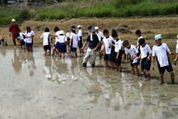 「渡辺先生と田んぼとあじちゃいと私」高水付属中学校１年　石原　瞭